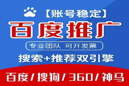 案例解读：网络推广与竞价策略